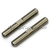 TM E4 - Rear Lower Outer Hinge Pin