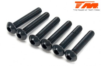 TM B8 - 3.5x20mm Steel BH Screw