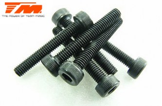 TM B8 - 3x20mm Cap Screw